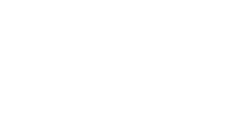 Vehicle Visuals